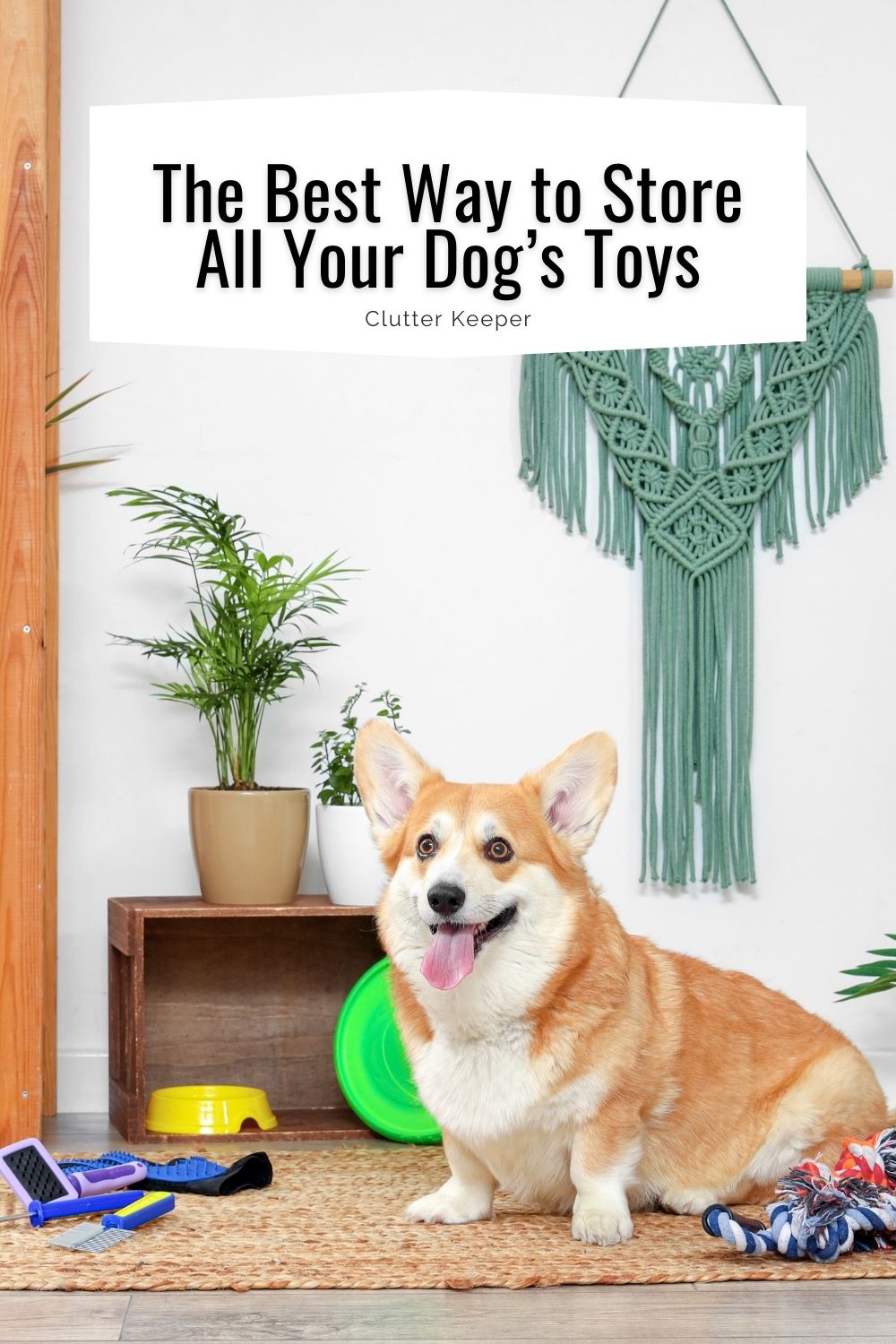 The best way to store all your dog's toys.