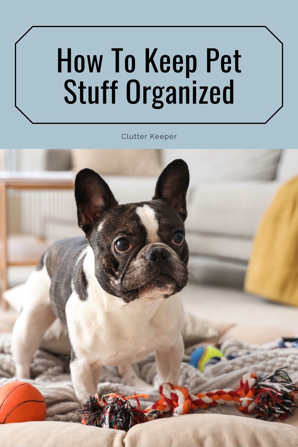 How to keep pet stuff organized.