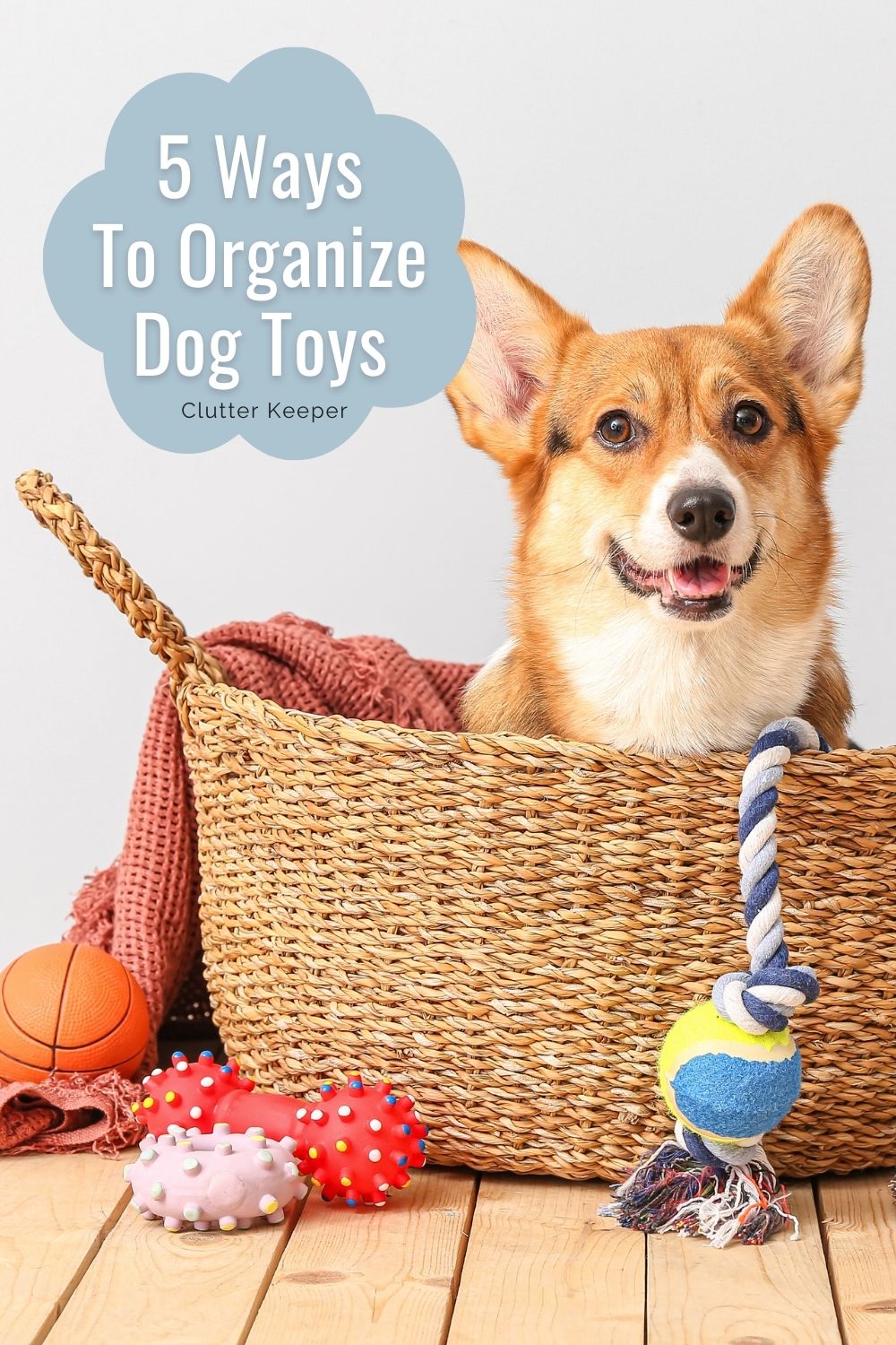 Five ways to organize dog toys.